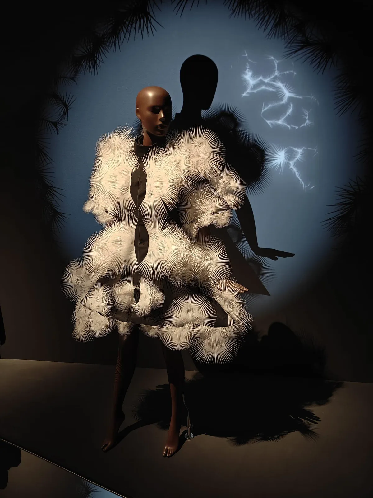 Iris van Herpen